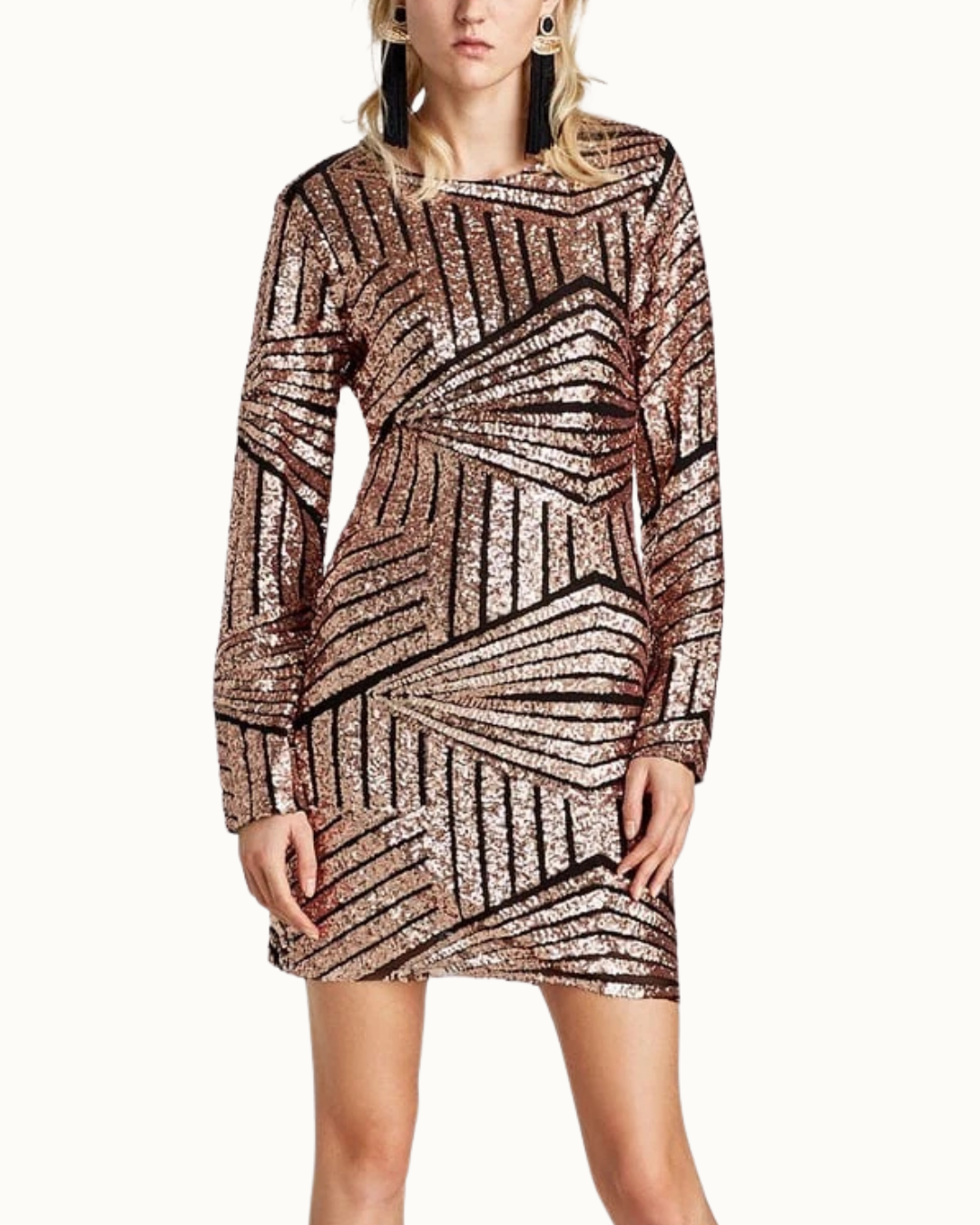 Zara Mini Sequins Dress