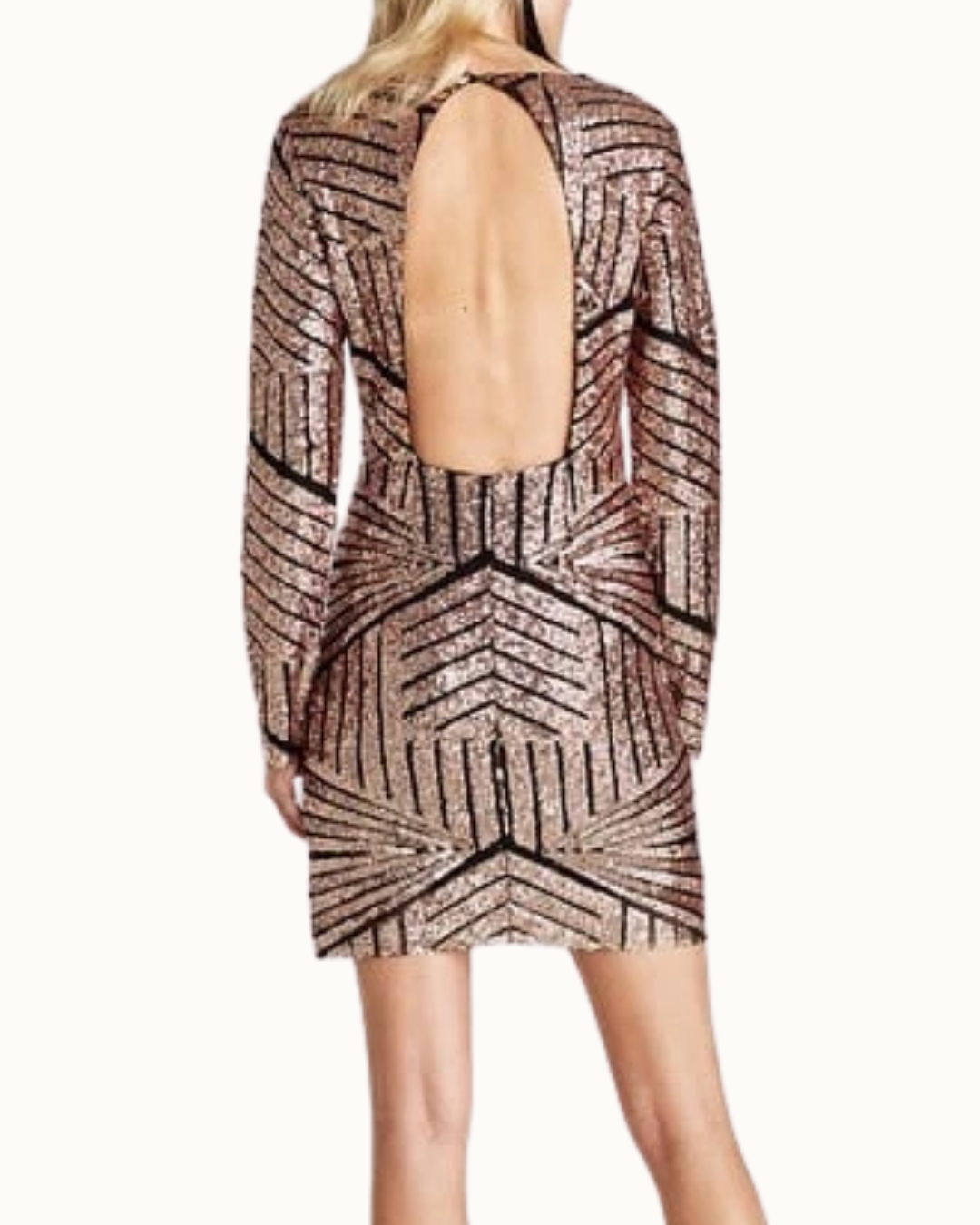 Zara Mini Sequins Dress