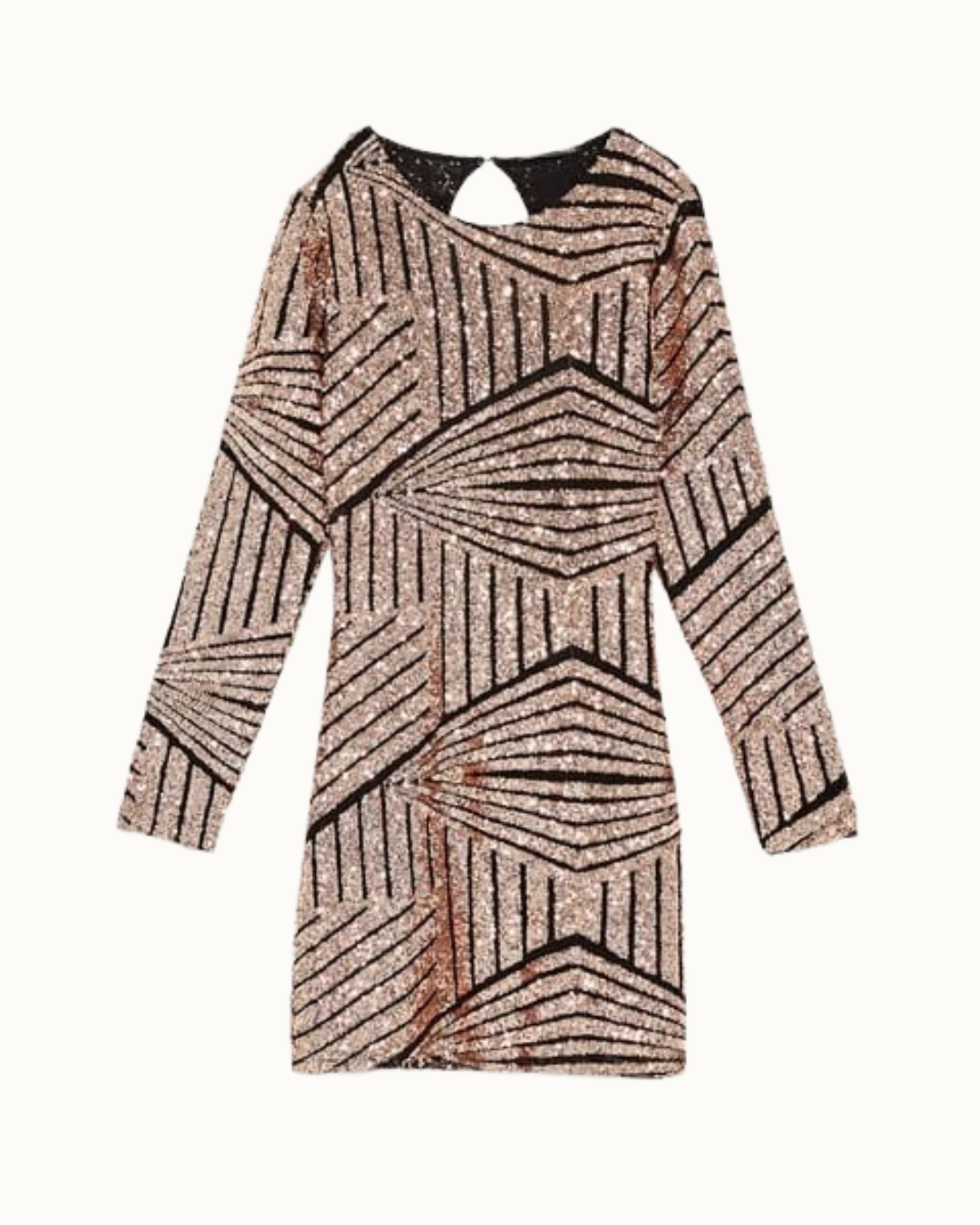 Zara Mini Sequins Dress