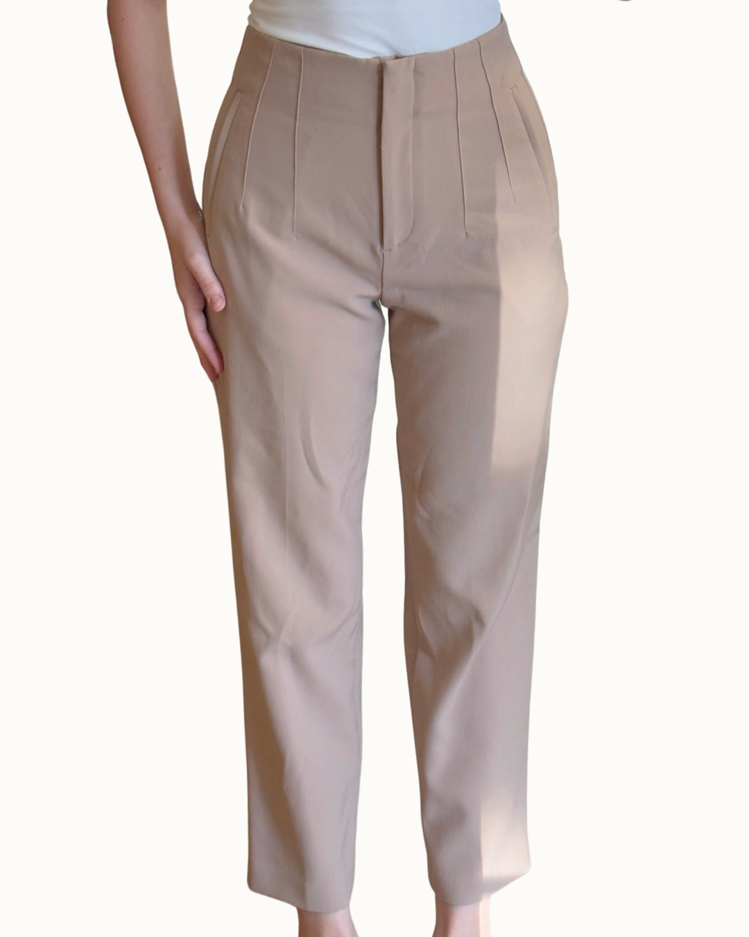 Zara High-Waisted Tan Pants